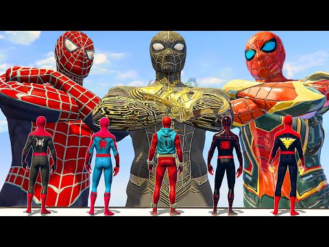 Team Spider Man (No Way Home) vs Spiderman-Verse | What If