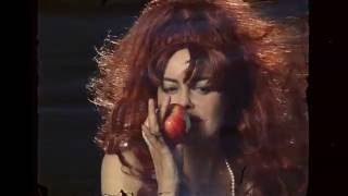 TILLI - &quot;Flesh Flower Dream&quot;