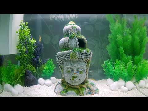 SuperFish Home 80 Aquarium White Relaxing, peaceful and calming  (GoProHero6) 4k