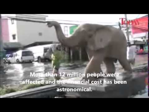 TOP 5 NATURAL DISASTERS OF 2011