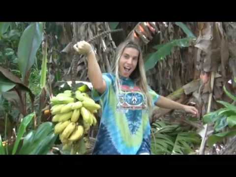 Finkel's Friday Film Dropping #1 - Claire Bevilacqua