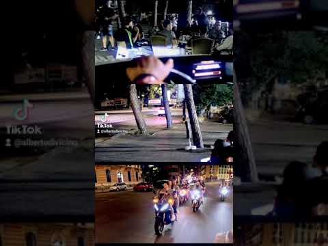 SALVATORE ADANI PIACE. VITA E. NOTTE ENZO CARADONNA