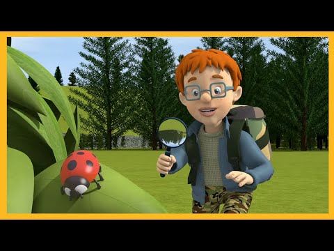 Norman avvista una simpatica coccinella 🔥 Sam il pompiere stagione 13