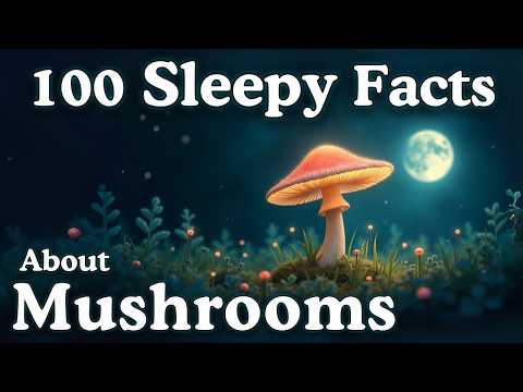 The Most Relaxing Facts About Mushrooms to Fall Asleep To