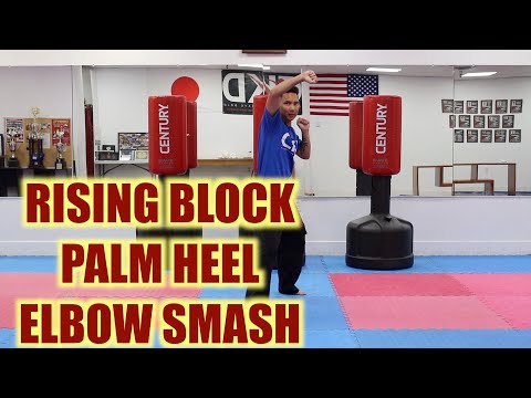 KARATE for beginners - Lesson 2