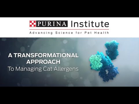 Neutralizing Allergens: The Summary