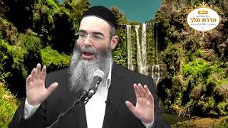 בית אחד לשני עמים! נשים וגברים זה עם אחר! - שלום בית מתוך ארמון המלוכה 3