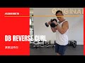 DB Reverse Curl 廣東話旁白 | #AskKenneth