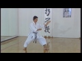 Shotokan Heian Sandan