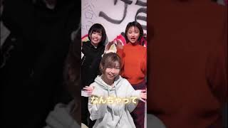 どっきんふわっふー／KissBee【難聴うさぎさん】 #shorts