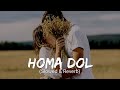 Homa Dol Slowed Reverb Neeti Mohan Rajat Nagpal Saad Lamjarred Lofi Song