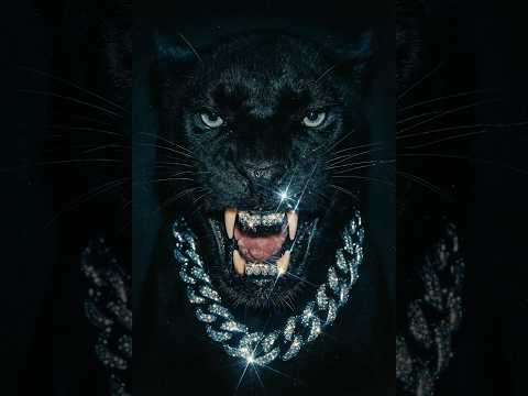 (FREE) METRO BOOMIN x FUTURE TYPE BEAT - "BLACK ICE" | FREESTYLE  RAP BEAT | TRAP TYPE BEAT 2026