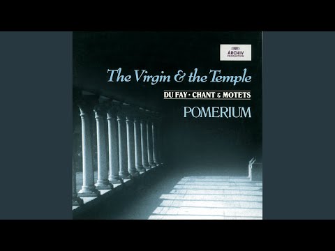 Nuper rosarum flores