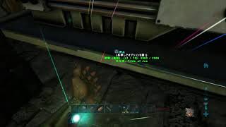 ＃ARK   テスト配信　　　ネット切り換えた！