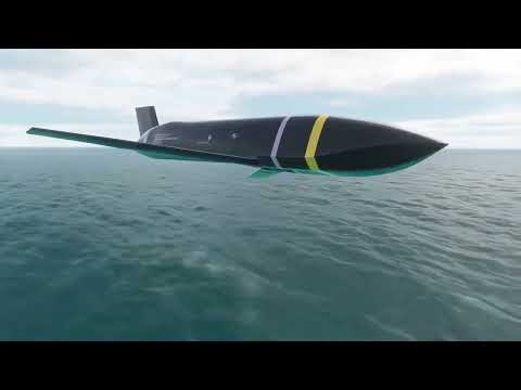 Long Range Anti-Ship Missile(LRASM) in Action : DCS World