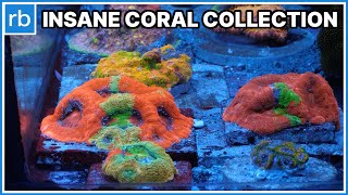 Elliot’s Acropora Stash, Rare Corals & Collector Secrets Revealed!