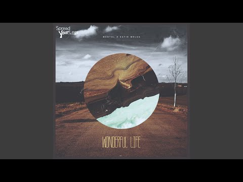Wonderful Life (Original Mix)