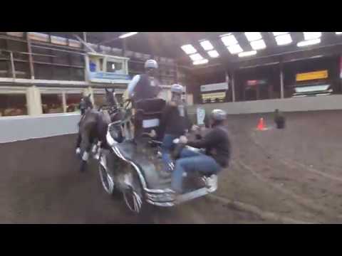 Indoor Hapert 2018 four in hand: Edouard Simonet  (1/2)