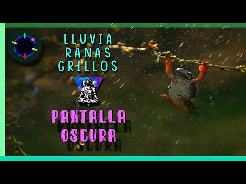 Sonidos de LLUVIA, RANAS y GRILLOS relajantes para DORMIR 😴🌧 | Pantalla Negra | El MEJOR vídeo