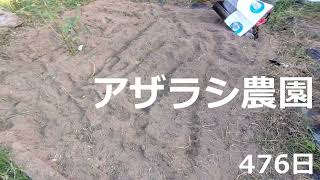 476日 土が耕されてる！【アザラシ農園】