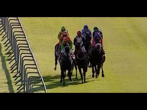 JAEGER MOON - 2021 World Sports Betting East Cape Derby