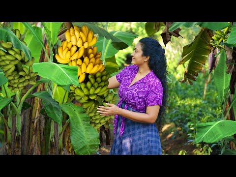 , title : 'Delicious sweets from my father's banana harvest | Poorna - The nature girl'