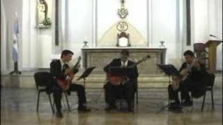 Tchaikovsky The crown of roses - Trio de Guitarras Domine