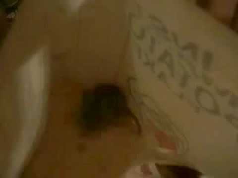 download lagu mp3 mp4 Instant Mashed Potatoes Mice, download lagu Instant Mashed Potatoes Mice gratis, unduh video klip Instant Mashed Potatoes Mice