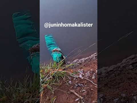 Pesca top, Rio Tibagi, Tibagi Pr.