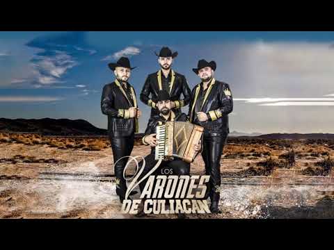 Varones De Culiacan || LOS MEJORES EXITOS MIX 2021