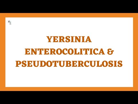 Yersinia enterocolitica & pseudotuberculosis infection