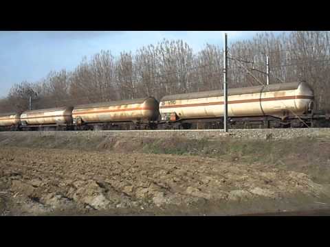 UN BEL CAIMANONE CON CARRI CISTERNA