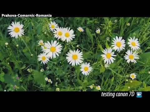 Comarnic Prahova - Canon 7D testing movie
