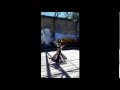 Kariat Al Fingan Abdel Halim Hafez Mix Vintage Bellydance