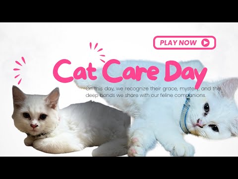 🐾 Mauu Grooming at Pet Parlour | Bathing, Hair & Nail Cut ✂️🐱