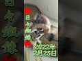 🔥日々鍛錬🔥2022/02/25