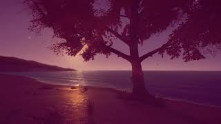 Sea of Leaves - Teaser Trailer