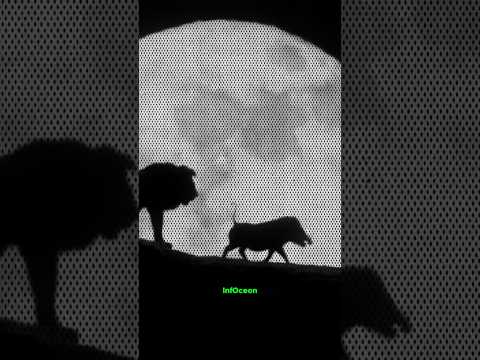 🔥 Top 10 Animated Movies by Worldwide Box Office Earnings