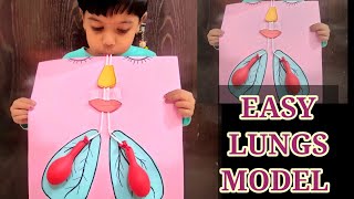 lungs model making for kids//easy lungs project model//science lungs project model primary level