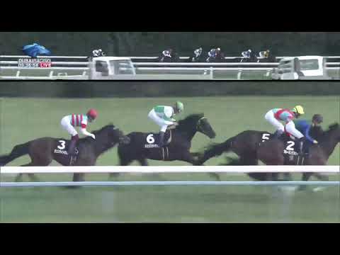 2019.10.13 Shigiku Sho (JPN) - Roll of Thunder