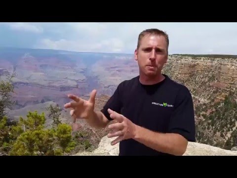 Real Evidence for A World Flood! | CT3-27