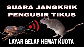 Download lagu Suara Jangkrik Pengusir Tikus || Layar gelap hemat kuota mp3