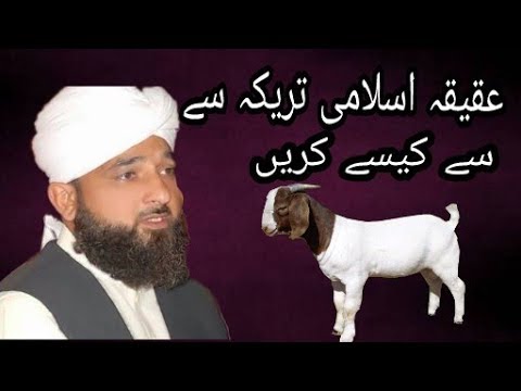 download lagu mp3 mp4 Hakika, download mp3 Hakika free download, download mp3 Hakika