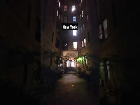 Nightlife of New York City #newyork #nyc #manhattan #nightlife #night #shorts