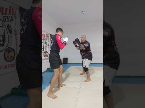 SI VIS PACEM PARA BELLUM PITBULL GYM JUNIN DE LOS ANDES