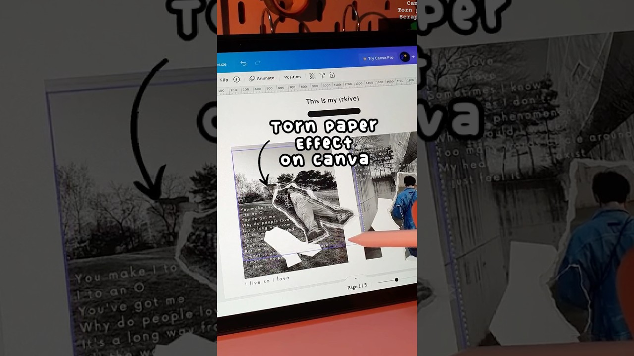 Torn paper affect on Canva! #contentcreator #canvatutorial