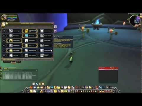 5.0 Retribution paladin PvE guide!