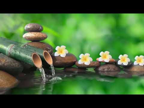 Healing music BGM- Quiet piano songs Relaxing music with the sounds of nature Bamboo Water Fountain