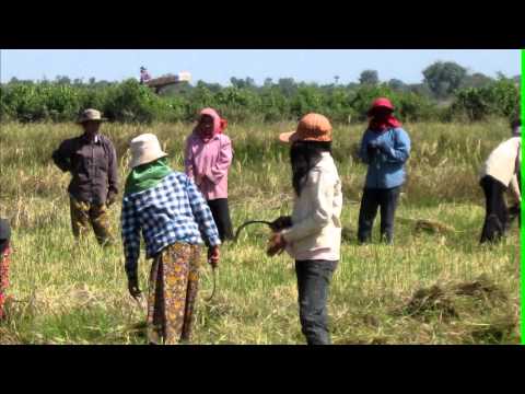 Chros O Yadav-ជ្រោះអូរយ៉ាដាវ