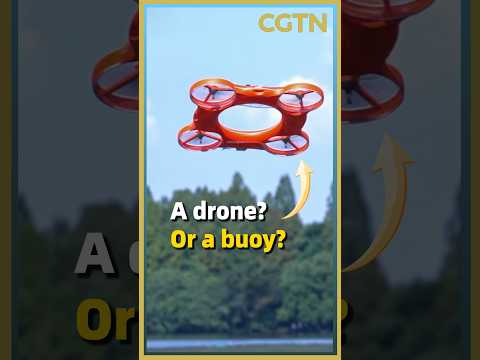 Flying saucer or everyday object?